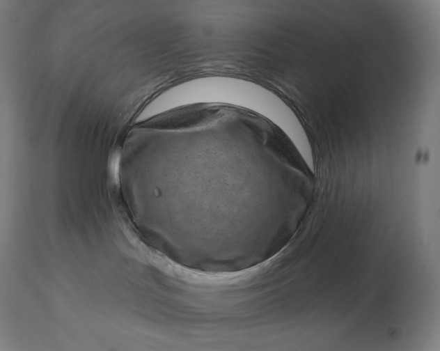 X0000113630047200910021902
