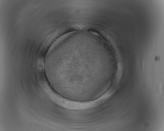 X0000113630048200910021902