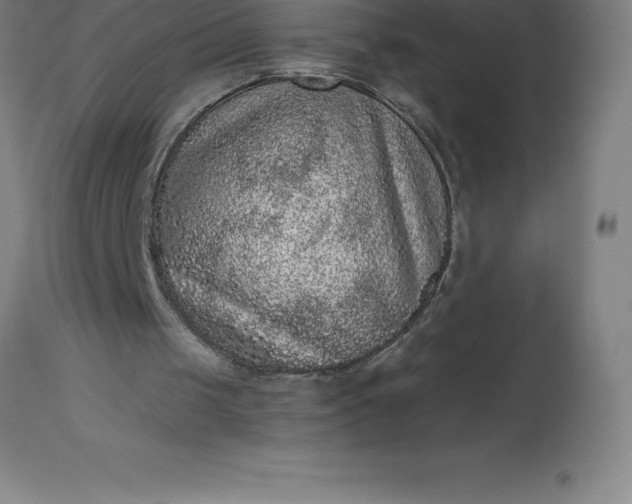 X0000113630049200910021902