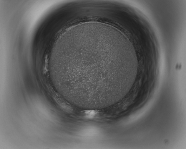 X0000113630050200910021902