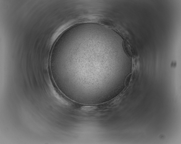 X0000113630051200910021902
