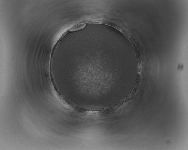 X0000113630052200910021902