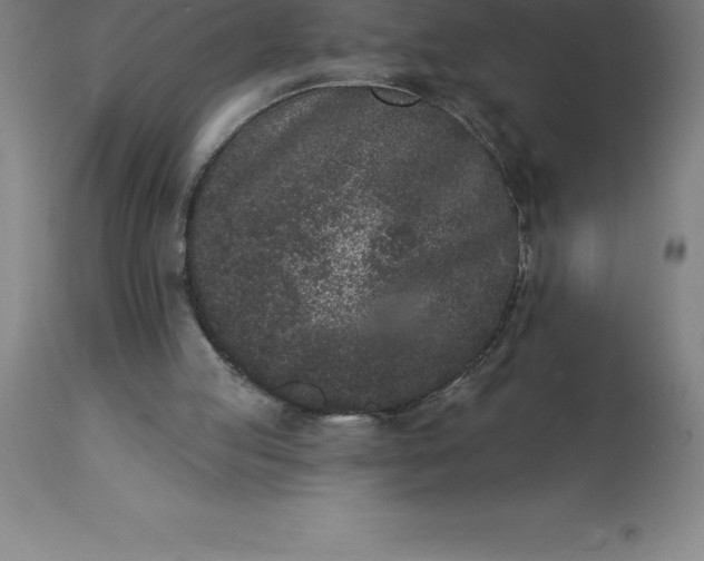 X0000113630053200910021902