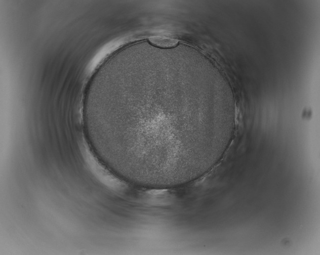X0000113630054200910021902