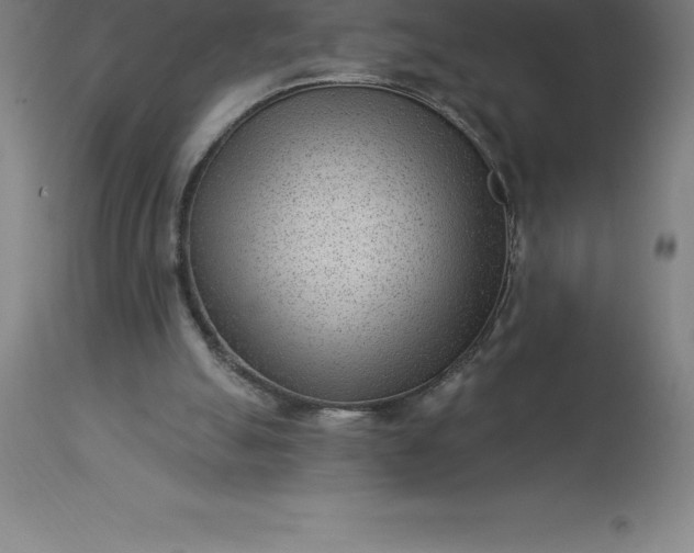 X0000113630055200910021902