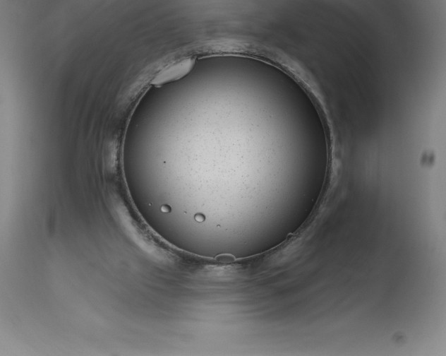 X0000113630057200910021902