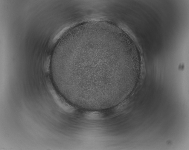 X0000113630058200910021902