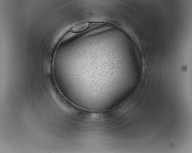 X0000113630060200910021902