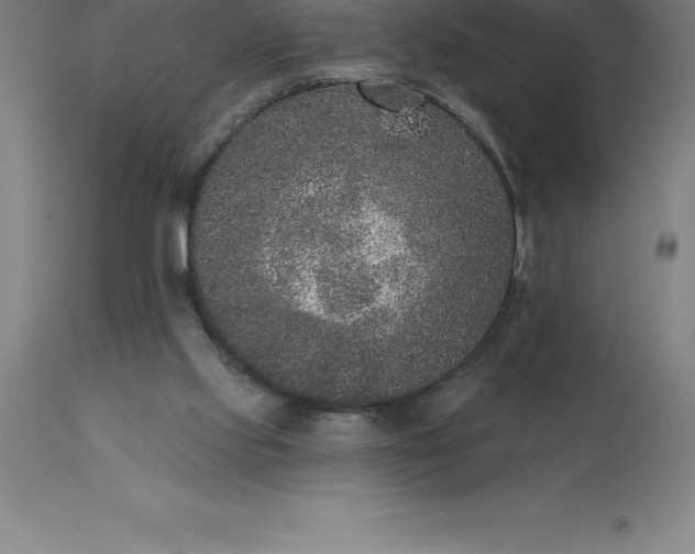 X0000113630061200910021902