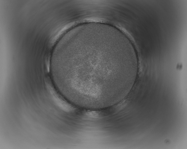 X0000113630062200910021902