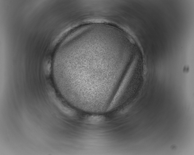 X0000113630063200910021902