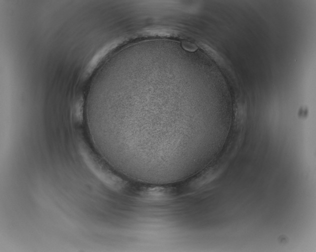 X0000113630064200910021902