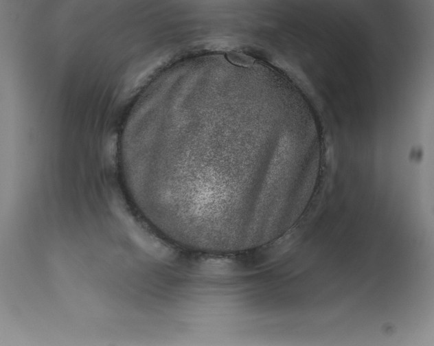 X0000113630066200910021902