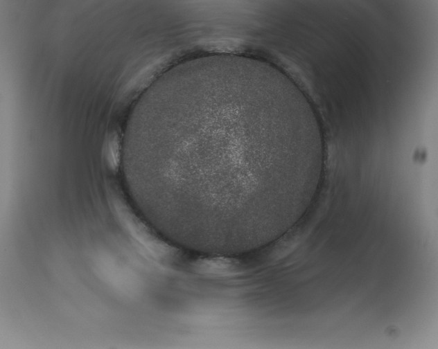X0000113630069200910021902