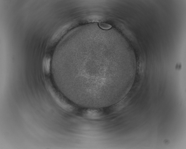 X0000113630070200910021902