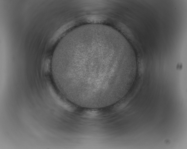 X0000113630071200910021902