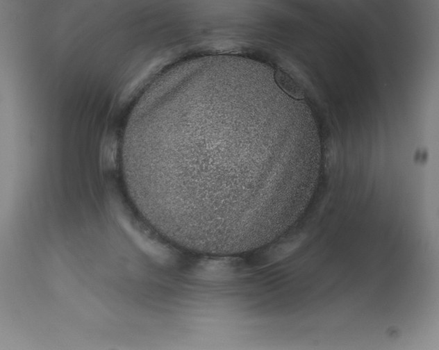X0000113630072200910021902