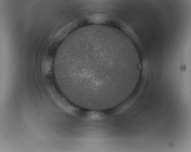 X0000113630073200910021902