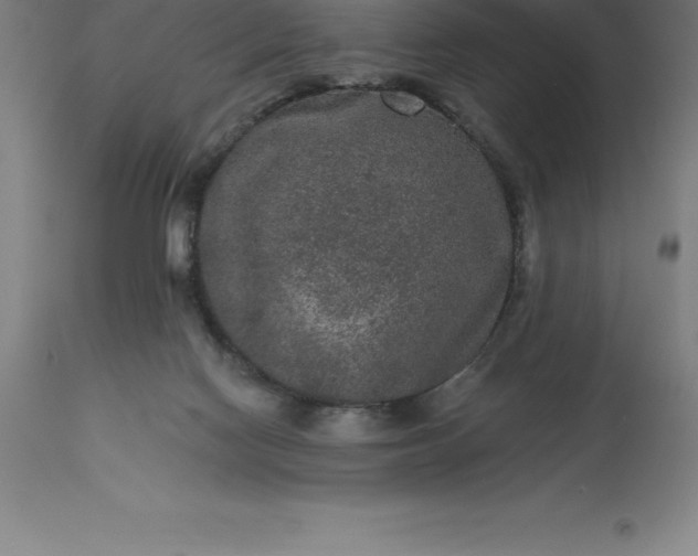 X0000113630074200910021902