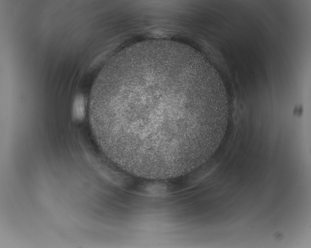X0000113630075200910021902