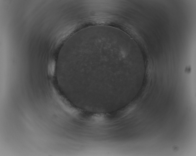 X0000113630076200910021902