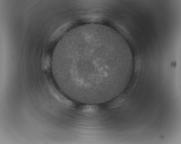 X0000113630077200910021902