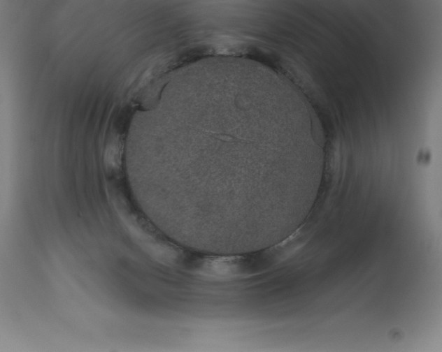 X0000113630078200910021902