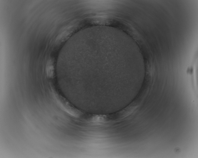X0000113630080200910021902