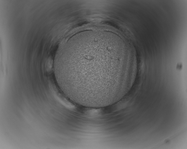 X0000113630081200910021902
