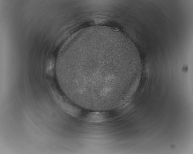 X0000113630082200910021902