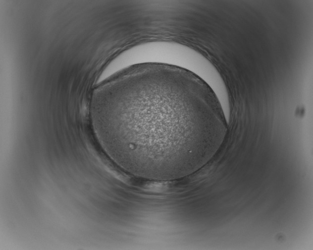 X0000113630084200910021902