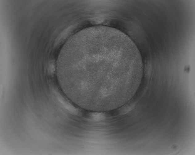 X0000113630085200910021902