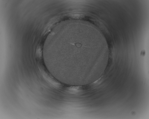 X0000113630086200910021902