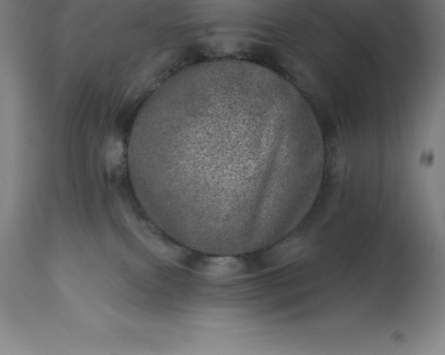 X0000113630087200910021902