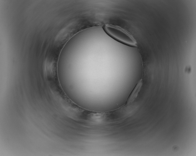 X0000113630088200910021902