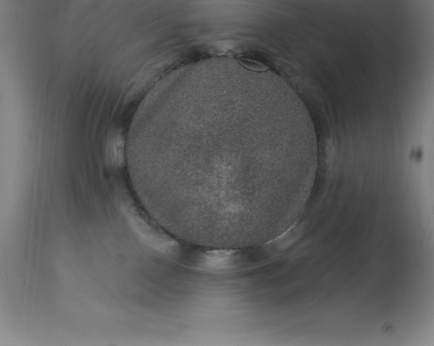 X0000113630090200910021902