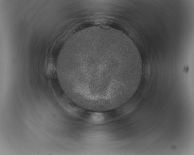 X0000113630091200910021902