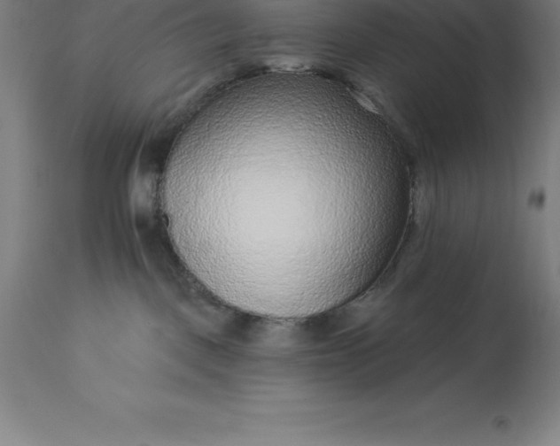 X0000113630093200910021902