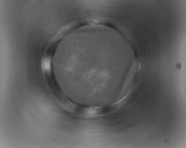 X0000113630094200910021902