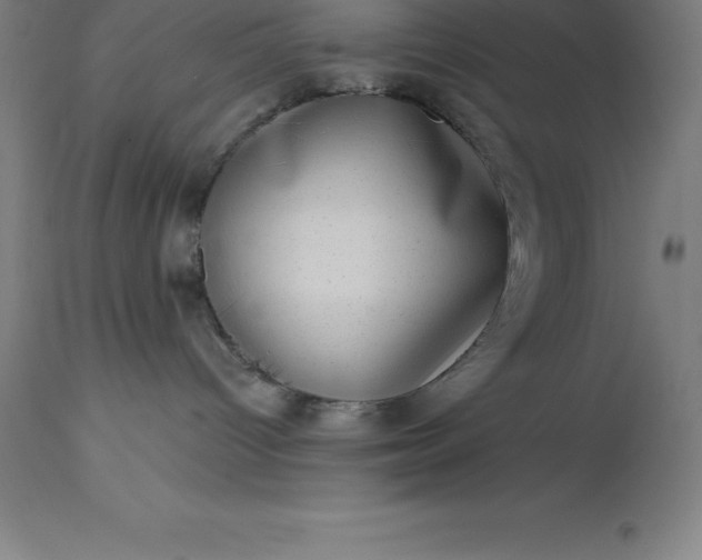 X0000113630096200910021902
