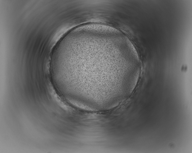 X0000113630098200910021902