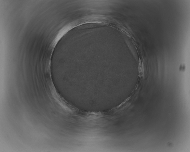 X0000113630099200910021902