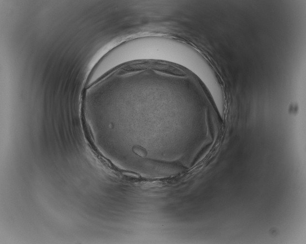 X0000113630100200910021902