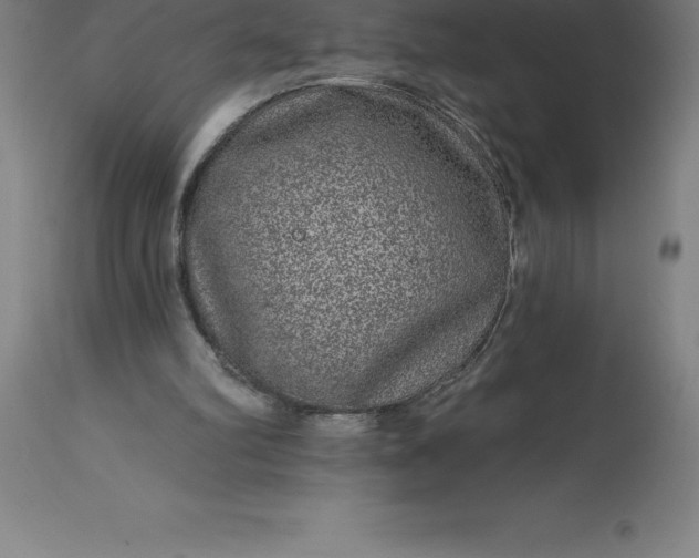 X0000113630102200910021902