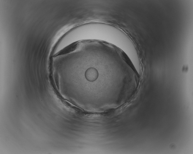 X0000113630104200910021902