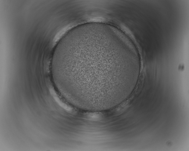 X0000113630106200910021901