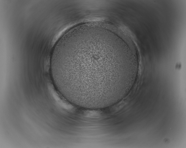 X0000113630107200910021901
