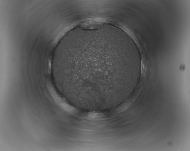 X0000113630109200910021901