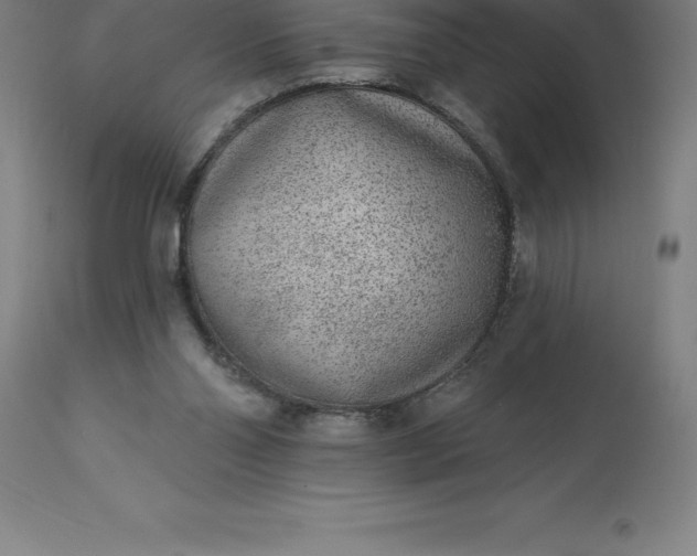 X0000113630110200910021901
