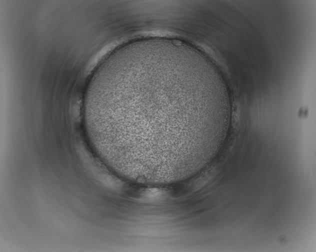 X0000113630111200910021901